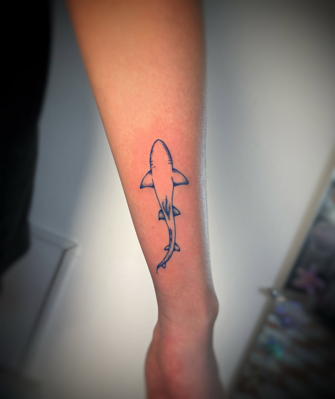 Shell Tattoo